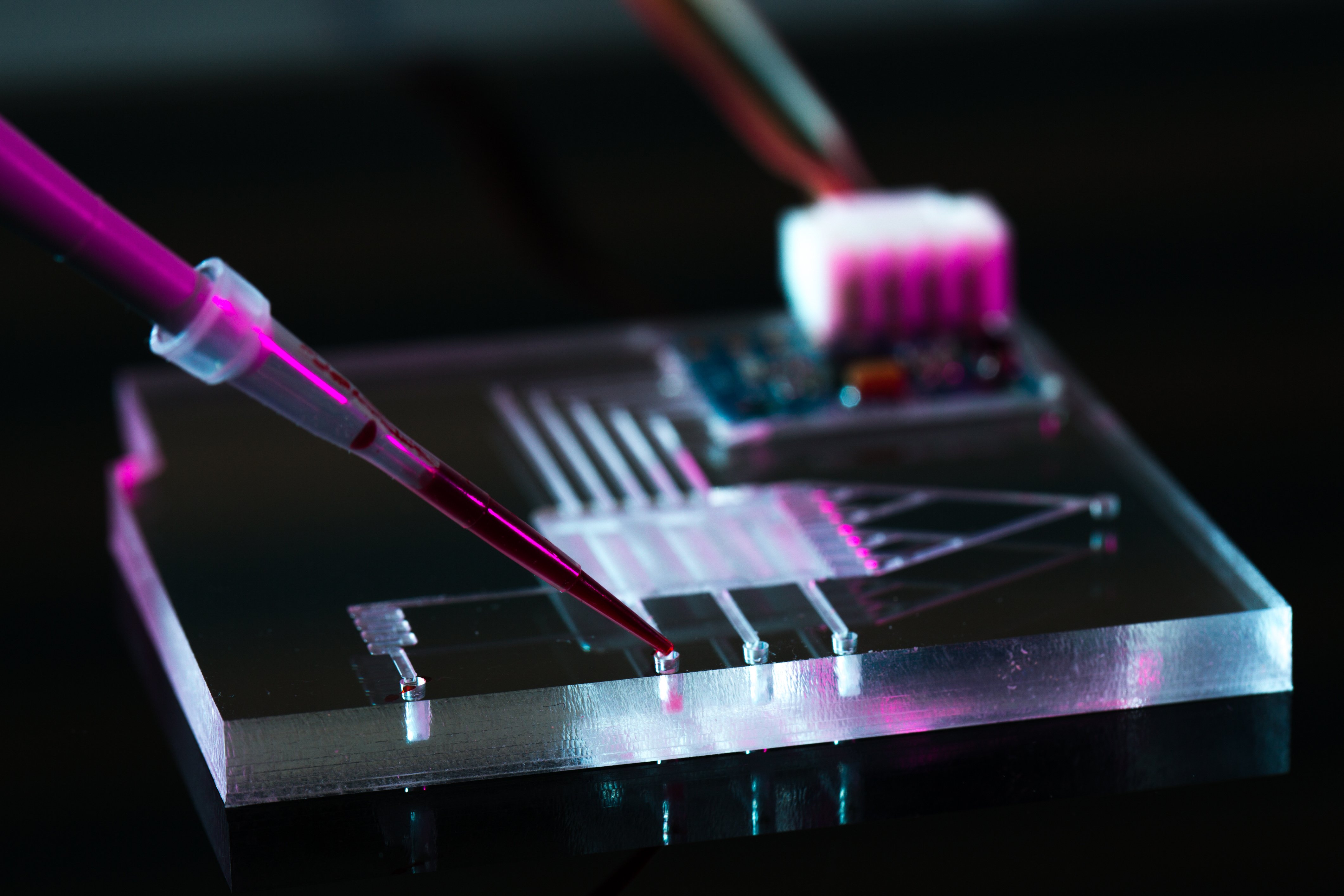 organ-on-a-chip-axion-biosystems